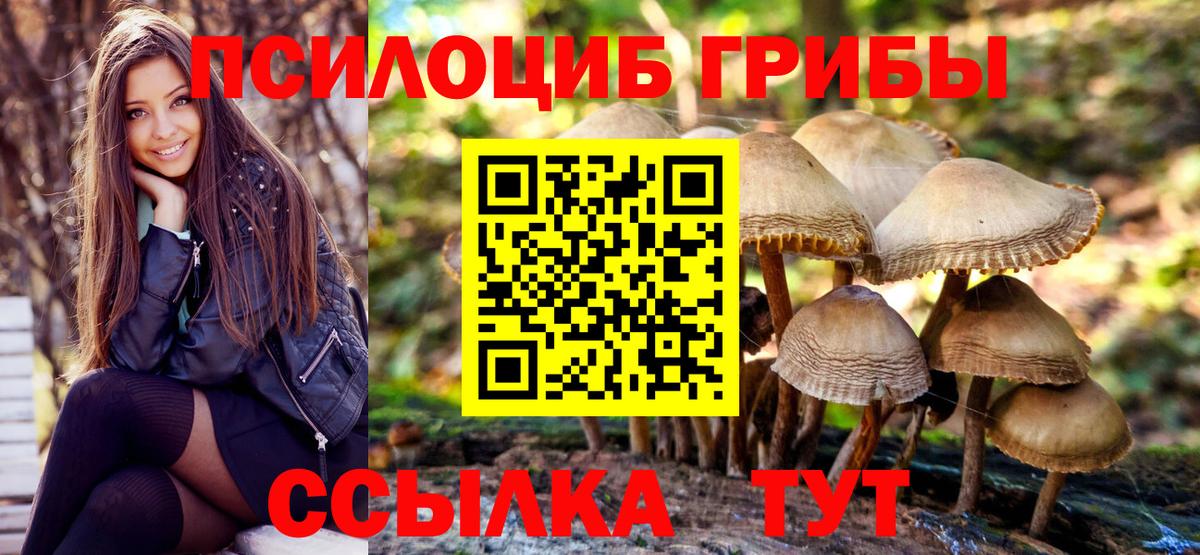 Гагарин  Псилоцибиновые грибы Psilocybine cubensis  Вход с VPN 